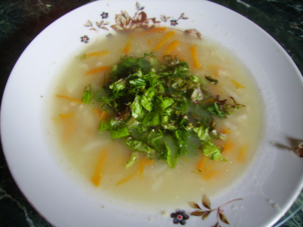 Супы при гастрите рецепты с фото простые и вкусные