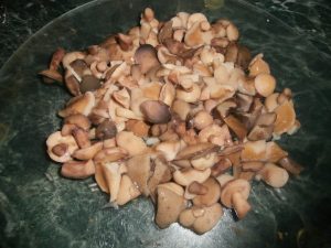 простой салат с грибами