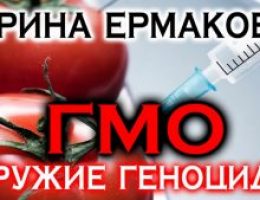 Миниатюра к статье Продукты с ГМО в России